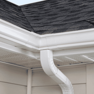 Gutter Cleaning