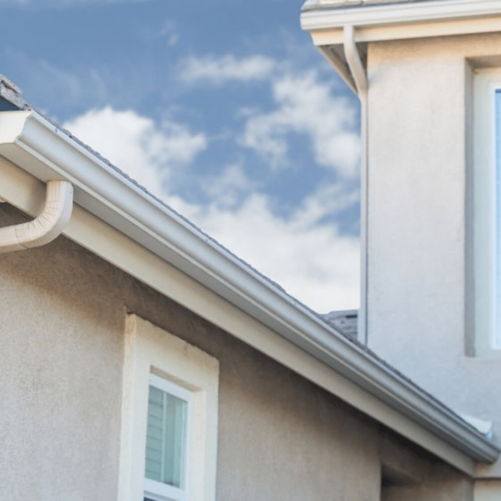 Gutter Cleaning Company in Savannah GA