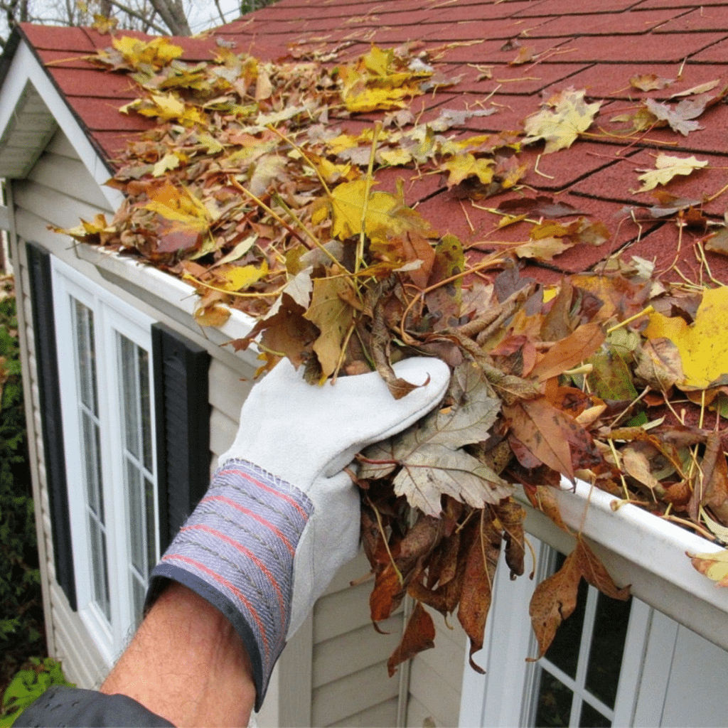 Gutter Cleaning Company in Savannah GA